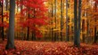 Vista encantadora de un bosque en otoño con hojas caídas y árboles de colores vivos