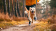 Golden Retriever running with man in park, healthy lifestyle concept