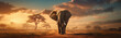 Cinematic African Elephant banner with copy space. Africa safari wildlife animal and savanna landscape graphic.