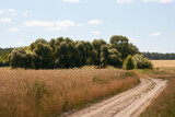 Fototapeta  - sandy road and dried yellow grass in hot August. Scene of midday sun on a field, rural life. scenery. August heat, the earth is waiting for rain
