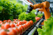 robot farmers - agriculture, robots, automation, farming, agri-tech, precision, autonomous, agtech