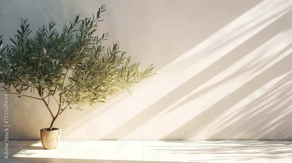 olive tree gracefully standing in the shadow of a white wall. The combination of natural beauty and architectural simplicity creates a tranquil scene,  conveying the serene ambiance of outdoor spaces.