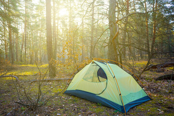 small touristic tent stay on forest glade in light of morning sun, outdoor travel background