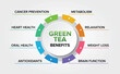 Green Tea benefits vector icons set infographic illustration background. Healthy Drink.