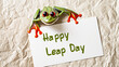 Leap day, 29 February 2024 greeting card with cute Green Frog and Happy Leap Day text. Leap year, one extra day.