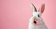 Surprised shocked bunny on a pink background.   AI Generative