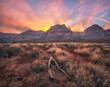 Desert sunset in Red Rock Canyon Conservation Area 