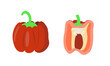 Set of red bell pepper whole and half cut. Isolated on white background. Flat cartoon style drawing.