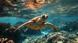 Fototapeta Do akwarium - Front view of a sea turtle swimming in the light blue ocean, Nature conservation, protecting the ecosystem, clean and beautiful sea. Created with Generative AI.