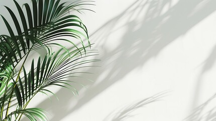 Poster - Generative AI : Tropical palm leaves with shadows on white concrete wall abstract blurred tropical background.