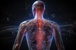 © Анатолий Сав - 3d illustration of male human body skeleton with nerves system anatomy, human body is in neural connections. Generative AI