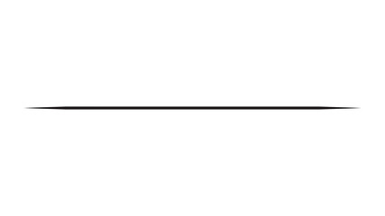 Horizontal straight line. Black simple decorative line. 