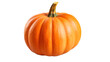 © CStock - Pumpkin isolated on transparent and white background.PNG image
