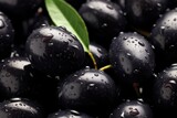 Fototapeta Storczyk - Many fresh and ripe black olives with detailed water drops, bio farm food concept. Generative Ai.