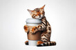 bengal cat hugs a coffee isolated on a white background. ai generative