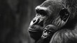 Closeup of mountain gorilla with its baby on dark blurred background. Conservation of endangered species and biodiversity. Generative Ai