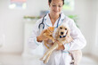 © famveldman - Vet with dog and cat. Puppy and kitten at doctor.