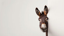 Donkey Peeking Into The Frame From The Right On A White Background