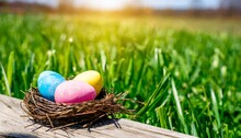 Three Painted Easter Eggs In A Birds Nest Celebrating A Happy Easter In Spring With A Green Grass Meadow Tree Leaves And Bright Sunlight Background With Copy Space Wooden Bench To Display Products