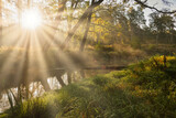 Fototapeta  - Las jesienią. Mała, wąska rzeka. Za drzewami widać wschodzące słońce. Promienie słoneczne tworzą malownicze smugi.