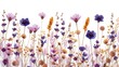 A variety of wildflowers are scattered on a white background. Flower composition. pressed dried flowers of wild plants.