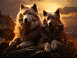 Couples wolves sit on a mountaintop in the mountains