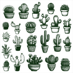 Wall Mural - Hand Drawn cactus vector illustration. A set of vector illustration linear cactuses. Cactus vector illustrations. Hand drawn outline cactus set.