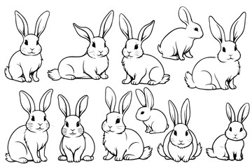 Poster - Several rabbits in various poses. A set of line drawings of rabbits drawn with a brush.