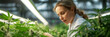 Scientists Examining Cannabis Plants in Greenhouse.
Female agronomist in lab coat inspecting marijuana growth in controlled indoor farm.