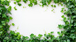Fresh green ivy leaves creating a natural frame with white space.