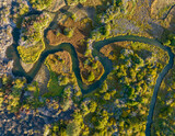 Fototapeta Kwiaty - looking down at a sinuous creek running through a wetland