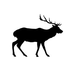 Wall Mural - silhouette of a deer