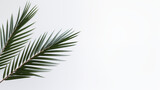 Fototapeta  - Gałązka palmy - Niedziela Palmowa. Symbol wjazdu Jezusa do Jerozolimy. Chwała Panu