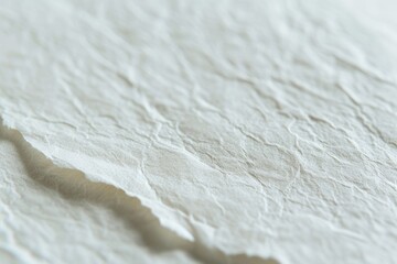 Canvas Print - Japan s white paper texture structure as background up close