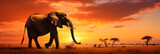 Fototapeta Zwierzęta - Elephant Silhouette Against Spectacular Sunset - A Stunning Confluence of Nature's Grandeur and Artistic Interpretation