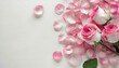 Pétales de roses roses romantiques sur fond blanc. Posé à plat et vue de dessus avec un espace de copie 