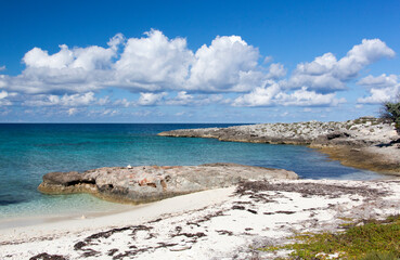 Wall Mural - Little Stirrup Cay Island Empty Rocky Beach