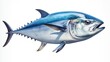 Fresh single tuna isolated closeup. Realistic illustration of tuna on a white background. Tuna dish. Fish shop banner logo. Sale of fish. Tuna print on paper or fabric. Fresh catch, fishing.