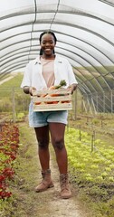 Wall Mural - Farming, vegetables and black woman with box in greenhouse for agriculture or supply chain. Smile, produce and portrait of African female farmer with crate for agro sustainable food in environment.