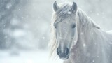 Fototapeta Konie - Close-up portrait of a white horse in winter in snowy weather