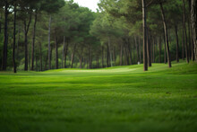 Lush Green Golf Course Surrounded By Trees