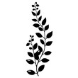 Barberry With Leaves Logo Monochrome Design Style