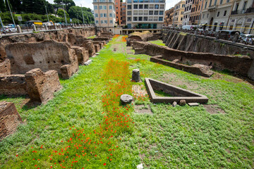 Sticker - Ruins of Ludus Magnus - Rome - Italy