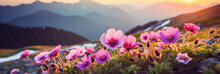 Highlands, Bright Pink Flowers On A Mountain Landscape Background, Banner