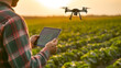 Farmer using a drone for crop surveillance at sunset, tablet in hand with flying drone in the background