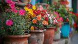 Fototapeta Dmuchawce - Beautiful flowers in pots