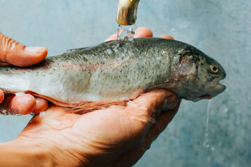 Photograph of hands washing trout for cooking.