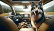 A photorealistic image of an Alaskan Shepherd dog posing in a car, ready for a road trip, in a 16_9 aspect ratio.