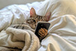 © DC Graphics - A cat is holding a phone in bed