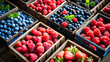 Assorted Berries and Strawberries Displayed in Trays